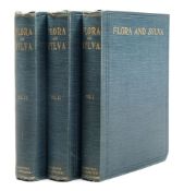 ROBINSON, W ... [edit] - Flora and Sylva : 3 vols, chromo-lithograph plates, org.