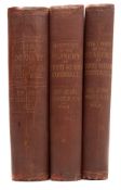 MACLEAN, Sir John - The Parochial and Family History of the Deanery of Trigg Minor,