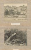 EXHIBITION PHOTOGRAPH : New Zealand Wood, by Charles Bennett, 365 x 275 mm, mounted.