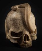 A Japanese carved bone okimono of a serpent emerging from a skull: the serpent eyes stained black,