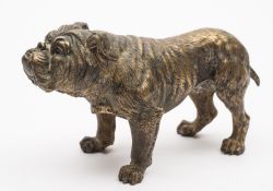 An Austrian cold painted bronze model of a bulldog:, unstamped, 18cm.
