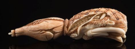 A Japanese carved ivory netsuke of a dragon emerging from a gourd: signed, Meiji period, 10cm. long.