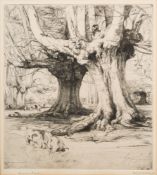 Dorothy Woolland [Exh.