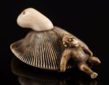 A Japanese carved and stained ivory netsuke: in the form of a monkey attempting to lift a giant