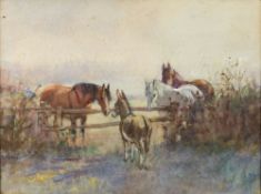 * Alice des Clayes [1890-1968]- Neighbours; horses and donkey in a field:- watercolour 45 x 60cm.