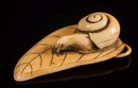 A Japanese carved ivory netsuke of a snail on a leaf: unsigned, 6cm. long.