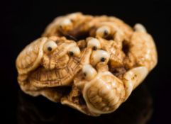 A Japanese carved ivory netsuke of nine small turtles balanced on a leaf: the tenth turtle under