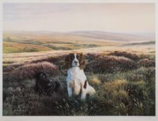 After Steven Townsend, two polychrome furnishing prints of sheep dogs:, mounted and framed.