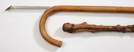 A bamboo horse measuring cane and a blackthorn cane:,