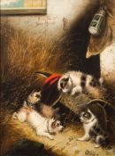 Edward Armfield [1817-1896]- Terriers in stable interiors:- a pair, both signed oils on canvas,