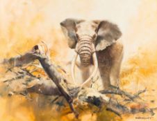 * Donald Grant [1924-2001]- Bull Elephant:- signed bottom right oil on canvas 69 x 90cm.