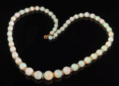 WITHDRAWN FROM FS35 A graduated opal and crystal bead single string necklace: with 52 opal beads