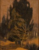 * Ursula Vivian McCannell [1923-2015]- A study of trees:- initialled and dated '73 oil on board 28.