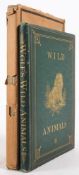 IRVING, Constance & Noel - A Child's Book of Hours : colour plates, org.