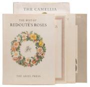 URQUHART, Beryl Leslie [edit] - The Camellia : 20 coloured plates, org.