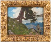 Adrian Scott Stokes [1854-1935]- Pine tree on a rocky outcrop:- signed bottom left oil on board 20