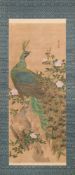 A Japanese scroll painting : depicting a peahen perched amongst peach blossom,