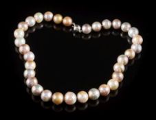 A cultured pearl,
