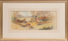 * James Stinton [1870-1961]- Pheasants in a clearing:- signed bottom right watercolour 16 x 39.