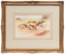 * James Stinton [1870-1961]- Partridge on a sandy bank:- signed bottom right watercolour 17 x 26cm.