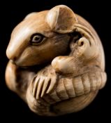 A Japanese carved ivory netsuke of a curled up rat: its tail wrapped around its back, signed, 3.