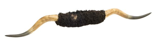 A pair of Bison horns:, 175cm wide.