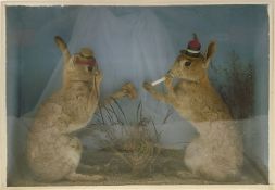 An early 20th century cased set of anthropomorphic hares:, each wearing a straw boater,