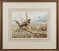 * Andrew Stock [b.1960]- A Buzzard in Dorset:- signed and dated '89 watercolour 24 x 32cm.