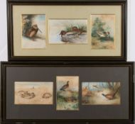 R J Derbyshire [19/20th Century]- Game birds: six watercolours variously signed,