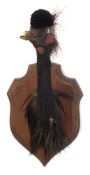 Black Crowned Crane (Balearica pavonina) preserved head mount on an oak shield:, 41cm high.