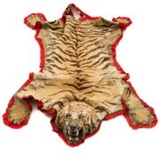 An early 20th Century tiger skin:, the taxidermy head inset with glass eyes,