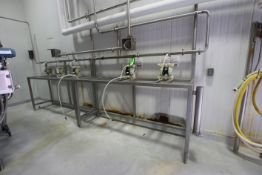 S/S Chemical Feed / Dosing Station, Equipped with (5) Plastic Diaphragm Pumps