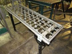 Roller Skate Conveyor (Located in Iowa)**EUSA**