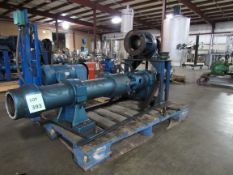 Moyne Processing Progressive Cavity Gravity Pump with 4