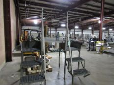 Dual Steps Platform, about 2ft wide each set (Located in Iowa)**EUSA**