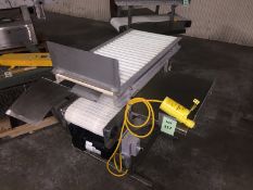 Stainless Steel Conveyor - 2-Tier Motorized Poly Belt/Roll Conveyor, 36 in. Length, SS Frame/Base (