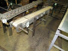 Conveyor with belting (Located in Iowa)**EUSA**