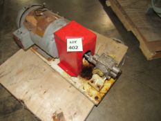 Small Gear Pump with Relief Valve (Located in Iowa)**EUSA**