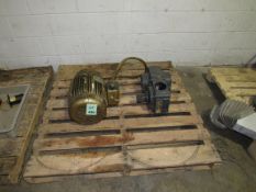 One lot an Electric Motor and a small gear reducer (Located in Iowa)**EUSA**