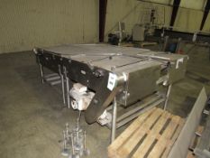 Stainless Steel Dual Lane Conveyor