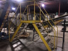 Mild Steel Cross Over Ladder (Located in Iowa)**EUSA**