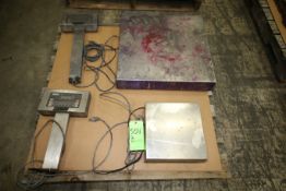 General S/S Digital Scales (