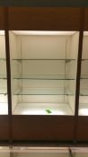 2'x4'x8' Wood Display Cabinet with (3) Glass Shelves and Top and bottom Lighting Rigging Cost: $35