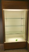 2'x4'x8' Wood Display Cabinet with (3) Glass Shelves and Top and bottom Lighting Rigging Cost: $35