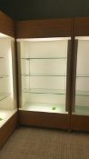 2'x4'x8' Wood Display Cabinet with (3) Glass Shelves and Top and bottom Lighting Rigging Cost: $35