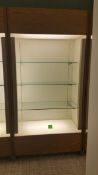 2'x4'x8' Wood Display Cabinet with (3) Glass Shelves and Top and bottom Lighting Rigging Cost: $35
