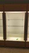 2'x4'x8' Wood Display Cabinet with (3) Glass Shelves and Top and bottom Lighting Rigging Cost: $35