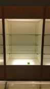 2'x4'x8' Wood Display Cabinet with (3) Glass Shelves and Top and bottom Lighting Rigging Cost: $35