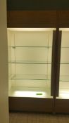 2'x4'x8' Wood Display Cabinet with (3) Glass Shelves and Top and bottom Lighting Rigging Cost: $35