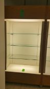 2'x4'x8' Wood Display Cabinet with (3) Glass Shelves and Top and bottom Lighting Rigging Cost: $35